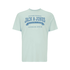 Jack & Jones Plus Póló világoskék / pasztellzöld / fehér kép