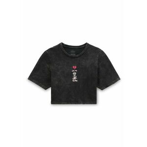 VANS Póló 'HEARTBREAKER CREW CROP II' vegyes színek / fekete kép