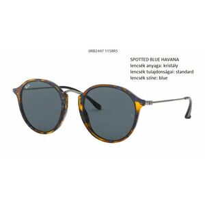 RAY-BAN RB2447 ROUND 1158R5 NAPSZEMÜVEG kép