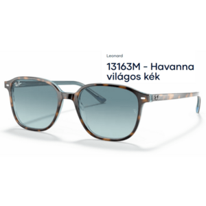 RAY-BAN RB2193 LEONARD 13163M NAPSZEMÜVEG kép