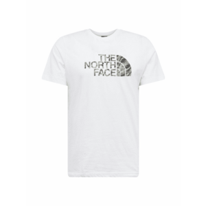 THE NORTH FACE Póló 'EASY' pasztellzöld / magenta / fekete / fehér kép