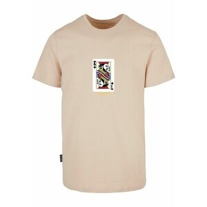 Cayler & Sons WL Compton Card Tee sand/mc kép