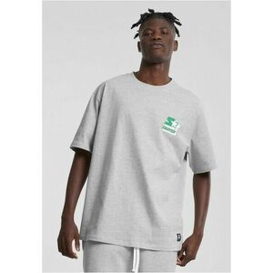 Starter Established 1971 Tee heathergrey kép