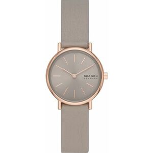 Skagen Skagen Signature SKW3060 kép