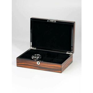 Rothenschild Watch Box RS-2264-8-E for 8 Watches Ebony kép