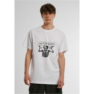 Mr. Tee Offspring Canadian Tour Oversize Tee white kép