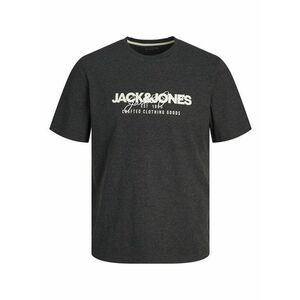 Jack&Jones PLUS Jack&Jones PLUS Férfi póló JJALVIS Standard Fit 12259834 Black 8XL kép