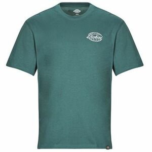 Rövid ujjú pólók Dickies DICKIES GLOBE TEE SS kép