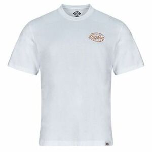 Rövid ujjú pólók Dickies DICKIES GLOBE TEE SS kép