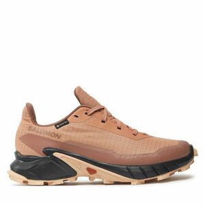 Futócipő Salomon Alphacross 5 Gore-Tex L47595100 Piros kép