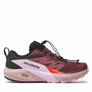 Futócipő Salomon Sense Ride 5 Gore-Tex L47592300 Lila kép