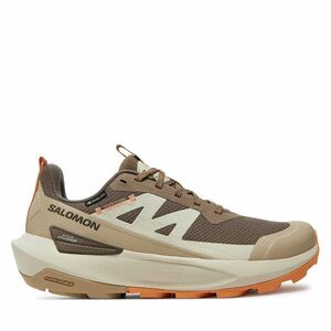 Sportcipők Salomon Elixir Activ Gore-Tex L47456400 Barna kép