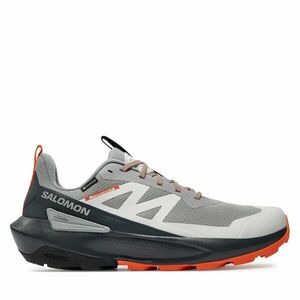 Sportcipők Salomon Elixir Activ Gore-Tex L47456200 Szürke kép