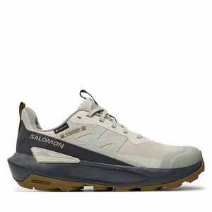 Sportcipők Salomon Elixir Activ Gore-Tex L47691600 Szürke kép