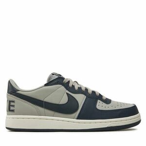 Sportcipők Nike Terminator Low FN6830 001 Szürke kép