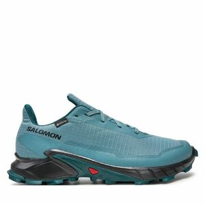 Futócipő Salomon Alphacross 5 Gore-Tex L47595000 Szürke kép