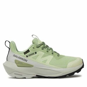 Sportcipők Salomon Elixir Activ Gore-Tex L47456300 Zöld kép