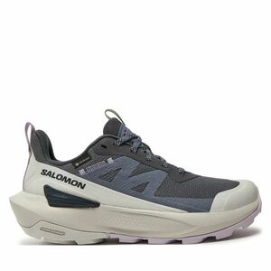 Sportcipők Salomon Elixir Activ Gore-Tex L47526500 Szürke kép