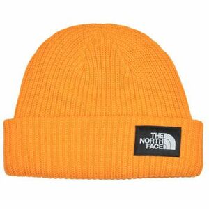 Sapkák The North Face SALTY LINED BEANIE kép