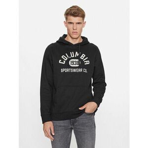 Pulóverek Columbia COLUMBIA TREK HOODIE kép