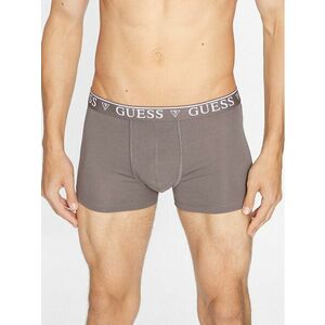 Boxerek Guess kép