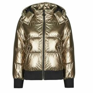 Steppelt kabátok Guess BICE METALLIC HOODIE PUFFER kép