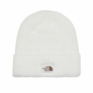 Sapkák The North Face SALTY BAE LINED BEANIE kép