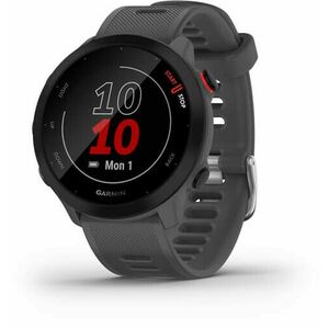 Garmin Garmin Forerunner 55 Grey 010-02562-13 kép