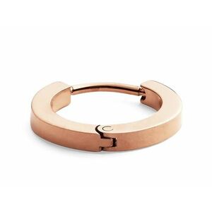 Daniel Wellington Daniel Wellington Minimalista aranyozott acél single fülbevaló DW00400862 - 1db kép