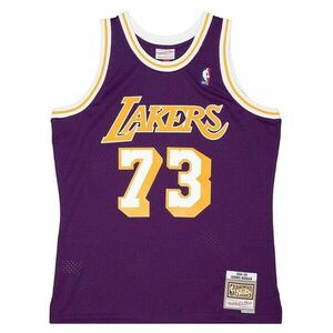 Mitchell & Ness Los Angeles Lakers #73 Dennis Rodman Swingman Jersey purple kép