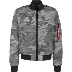 ALPHA INDUSTRIES Átmeneti dzseki szürke / sötétszürke / rubinvörös / fekete kép