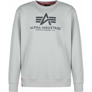 ALPHA INDUSTRIES Tréning póló szürke / sötétszürke kép