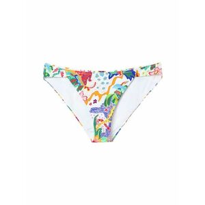 Desigual Bikini nadrágok vegyes színek kép