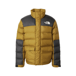 THE NORTH FACE Téli dzseki 'M LIMBARA INSULATED' zöld kép