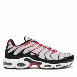 Sportcipők Nike Air Max Plus FN6949 002 Szürke kép