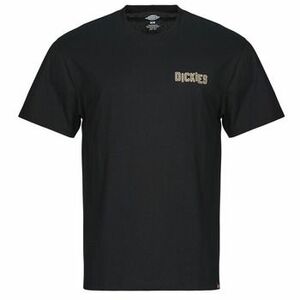 Rövid ujjú pólók Dickies BRICKLANE SS TEE kép