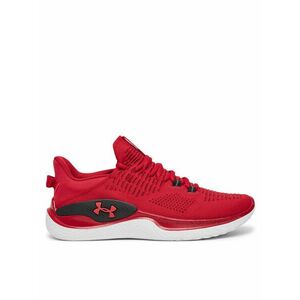 Edzőtermi cipők Under Armour kép