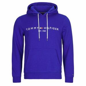 Pulóverek Tommy Hilfiger TOMMY LOGO HOODY kép