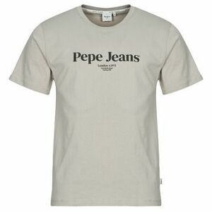 Rövid ujjú pólók Pepe jeans DALE TEE kép