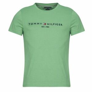 Rövid ujjú pólók Tommy Hilfiger TOMMY LOGO TEE kép