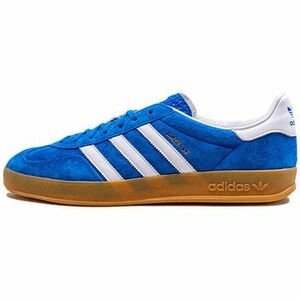 Divat edzőcipők adidas Gazelle Indoor Blue Bird Gum kép