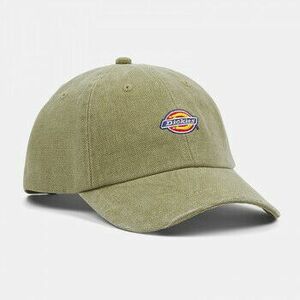 Baseball sapkák Dickies Hardwick duck canvas cap kép