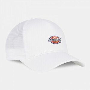 Baseball sapkák Dickies Hanston trucker kép