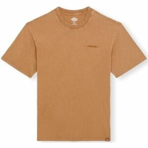 Pólók / Galléros Pólók Dickies Plentywood T-Shirt - Brown kép