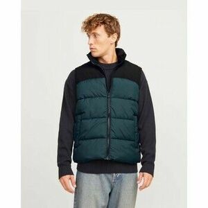 Kabátok Jack & Jones 12256860 MOON kép