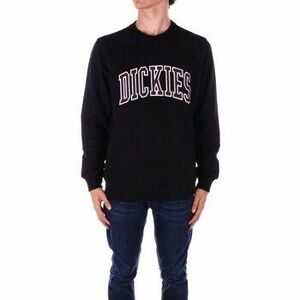 Pulóverek Dickies DK0A4XAB kép