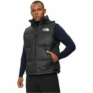 Steppelt kabátok The North Face NF0A3JQQ kép