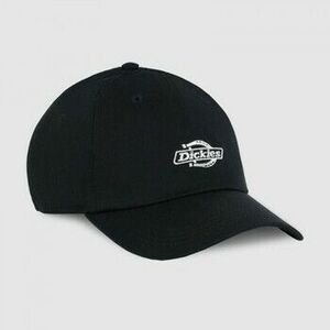 Baseball sapkák Dickies Essential dad cap kép