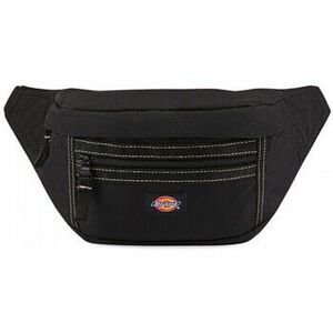 Táskák Dickies Ashville pouch kép