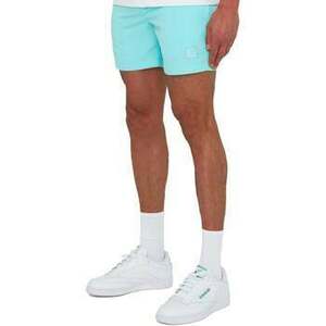 Fürdőruhák Marshall Artist Foundation Swim Shorts Aqua kép